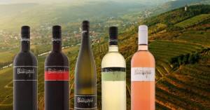 Baumgartner Weine