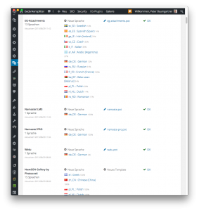 Nach dem Laden zeigt Loco Translate den Grad der Übersetzungen für alle Sprachen von allen Plugins an