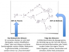 Eine Illustration aus dem Online-Kurs zur Akteur-Netzwerk-Theorie