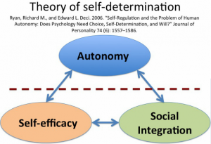 self-determination-theory