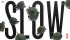 Berg, M., & Seeber, B. (2016). Slow Professor: Challenging the Culture of Speed in the Academy. University of Toronto Press.