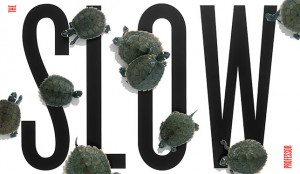Berg, M., & Seeber, B. (2016). Slow Professor: Challenging the Culture of Speed in the Academy. University of Toronto Press.